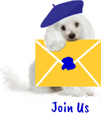Sign up for newsletter!